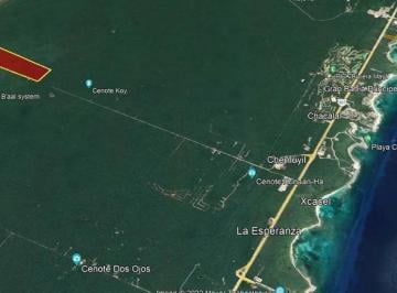 Terreno / Lote · 200 Has Escrituradas por Chemuyil Perfecta Para Inversionistas