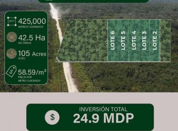 Terreno / Lote , Benito Juárez · Terreno de 42.5 Hectáreas en Venta en Cancún