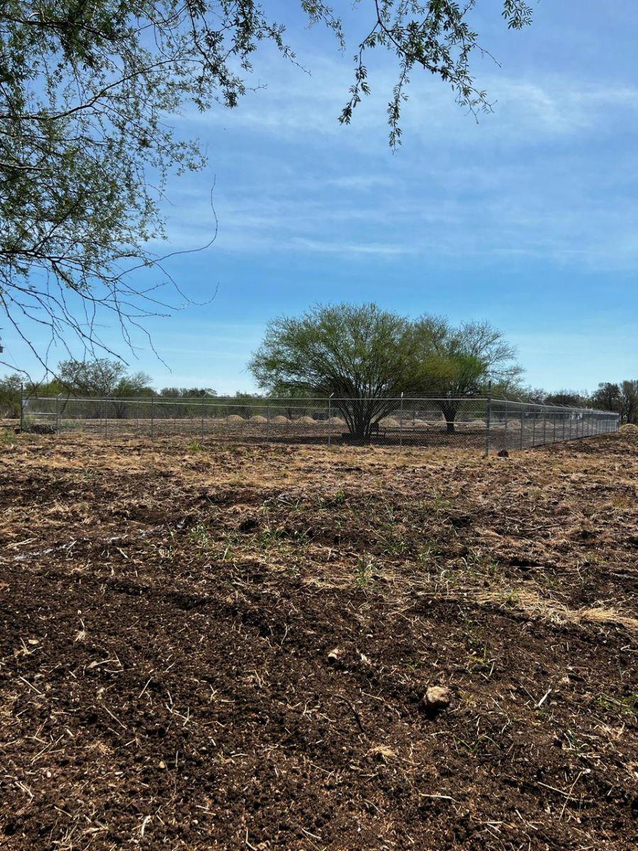 Land for Sale in La Morita, Montemorelos, Nuevo León