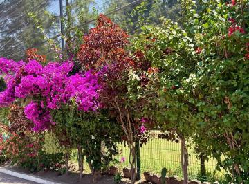 Terreno / Lote · 345m² · Terreno en Venta Cholula Club de Golf La Huerta San Pedro de Cholula