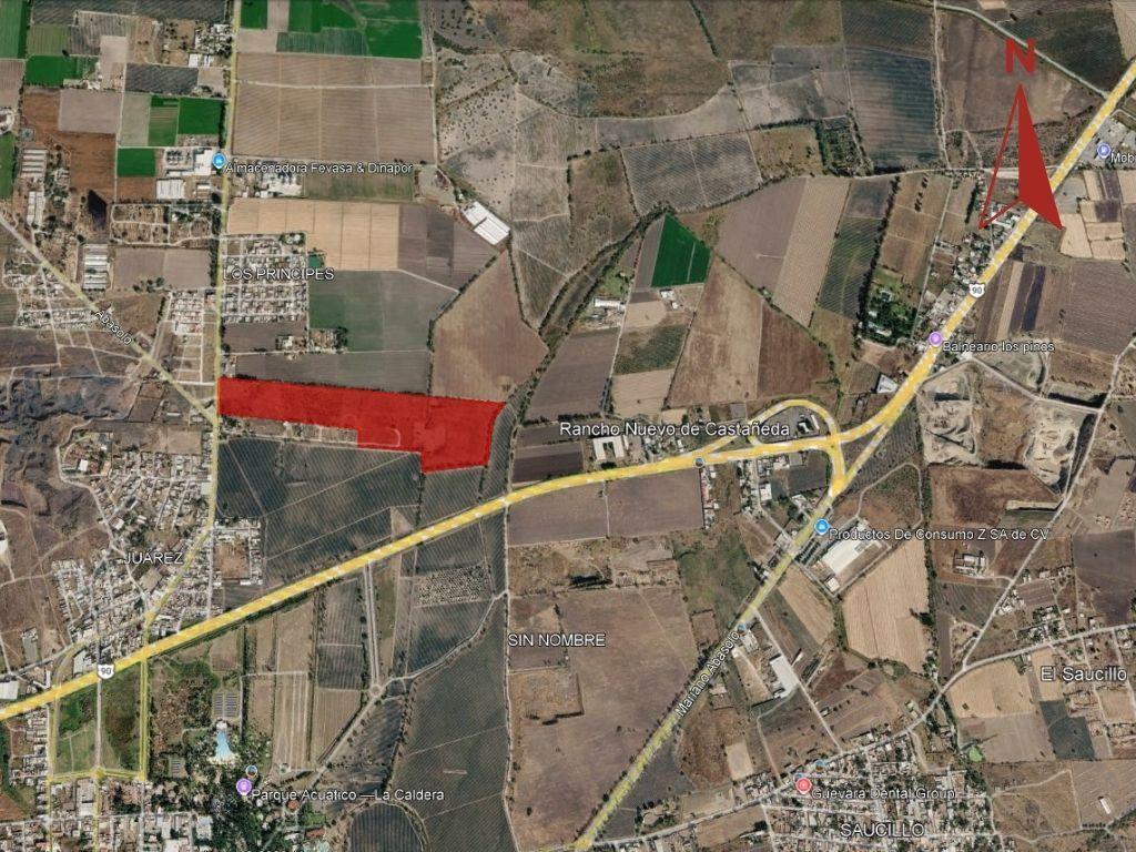 Terreno en Venta El Pirul, Abasolo - (4)