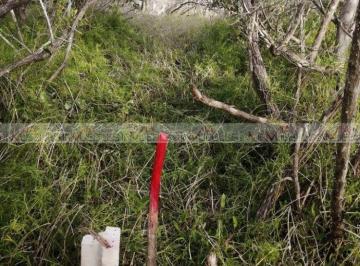 Terreno / Lote · 333m² · 1 Estacionamiento · Terreno / Lote en Venta en Isla de Holbox