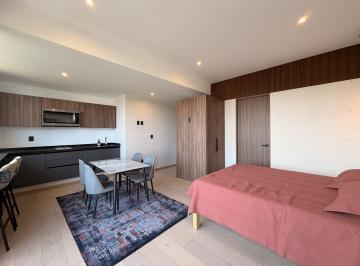 Departamento · 38m² · 1 Recámara · Departamento Tipo Loft en Venta en La Colonia Roma