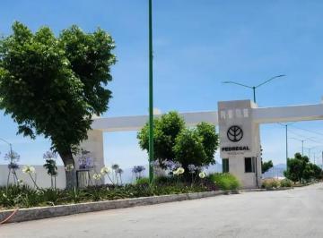 1 · Terreno Frente a Area Verde en Privada Pedregal Residencial Arteaga 240 m²