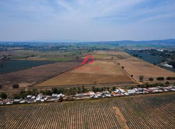 Terreno / Lote , El Arenal · Terreno Agrícola en Venta en El Arenal Jalisco 10 Has Ideal Para Agave