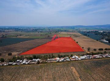 Terreno / Lote , El Arenal · Terreno Agrícola en Venta en El Arenal Jalisco 10 Has Ideal Para Agave