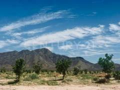 Rancho · 200m² · 3 Recámaras · Rancho Nogalero 8000 Arboles en Venta