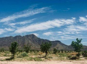 Rancho en Venta de 3 habitaciones Villa Ahumada · Rancho de 527 Ha en Venta en Villa Ahumada Chihuahua