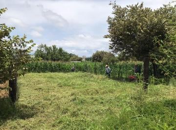 Terreno / Lote , Cuernavaca · Terreno en Venta de Oportunidad en Cuernavaca Morelos