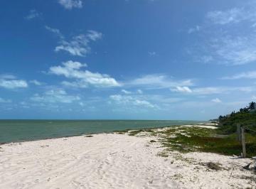 Terreno / Lote , Dzemul · Terreno Frente Al Mar en San Benito, Yucatán Km 25