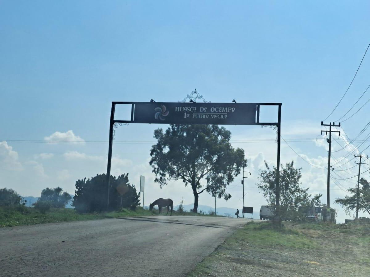 Land for Sale in San Juan Hueyapan, Huasca de Ocampo. - (4)
