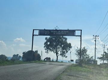 Terreno / Lote · 1000m² · Terreno en Venta San Juan Hueyapan, Huasca de Ocampo. - (4)