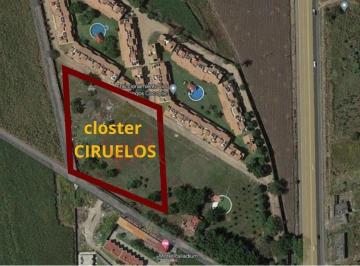 N/A · Lotes Residenciales en Venta en Los Mangos Cocoyoc, Yautepec, Morelos