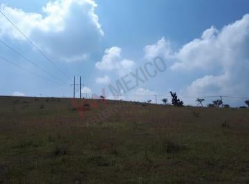 N/A · Terreno en Venta en Zona Industrial. Tepeji del Rio