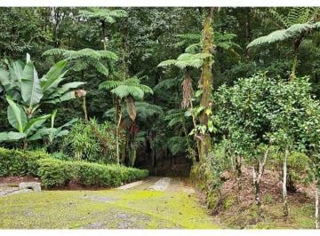 N/A · Vendo Casa de Campo en un Terrero de 4.5 Hectarias