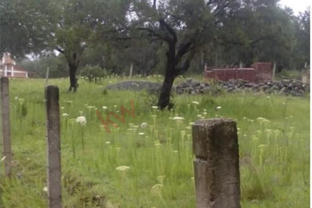 Selling Land in the Magical Town of San Miguel Regla, Huasca de Ocampo, Hidalgo