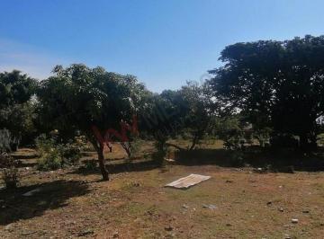 N/A · Lote De: 3,050 m² – Tu Espacio en Los Reyes, Tlayacapan