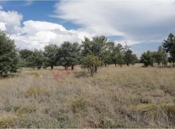 N/A · Terreno en Venta, Zona Campestre en Fracc. Sierra Linda, Tu Estatus de Conexión con La Naturaleza…