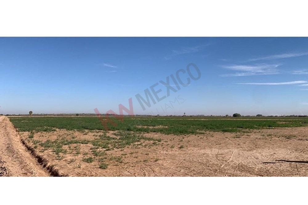 Terreno Agricola con Permiso de Riego en Venta Colonia Camacho en Mexicali B. C