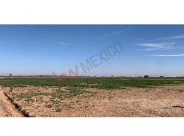 N/A · Terreno Agricola con Permiso de Riego en Venta Colonia Camacho en Mexicali B. C