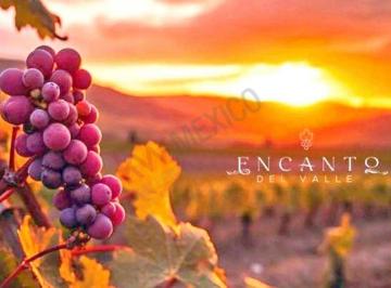 N/A · Rancho Encanto del Valle en El Valle de Guadalupe en Ensenada B. C. México, Es un Destino Turístico - C