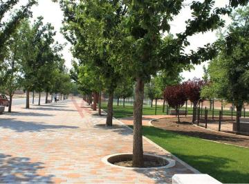 N/A · Terrenos en Venta Al Norte de Saltillo en Punta Bosque.