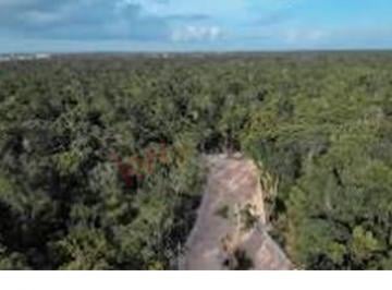 N/A · Terrreno en Venta en Tulum Ideal Para Desarrollar o Para Casa Habitacion