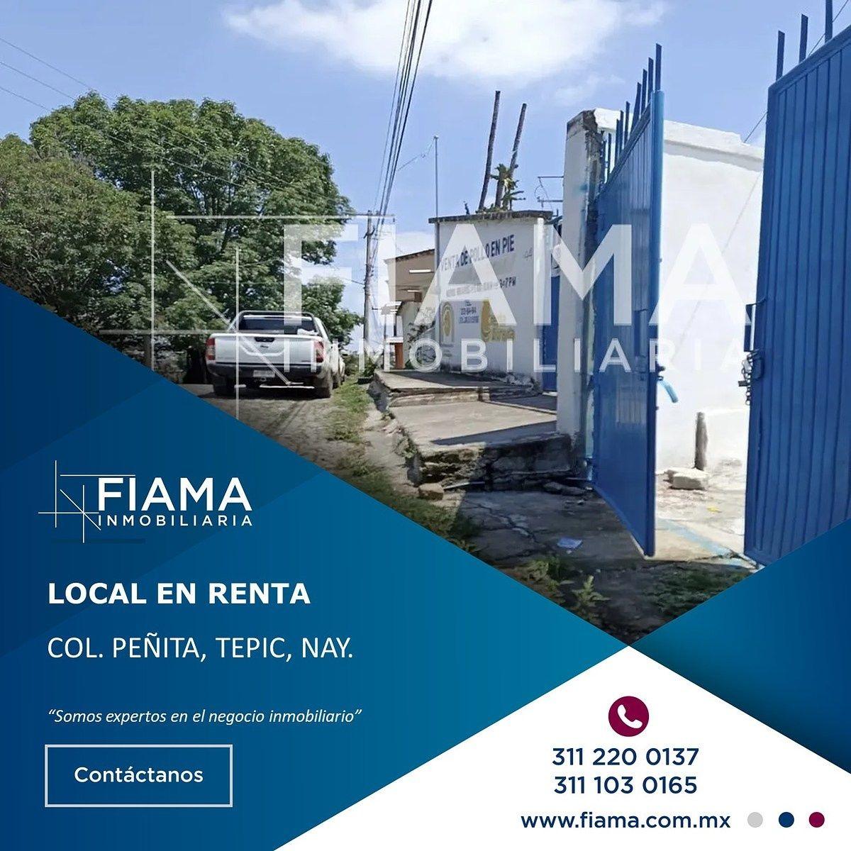 Commercial Space for Rent in Peñita Neighborhood, Tepic, Nayarit