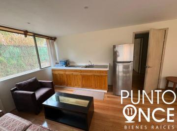 Departamento de 1 habitación, Coyoacán · Loft en Renta Barrio de La Concepción, Coyoacán