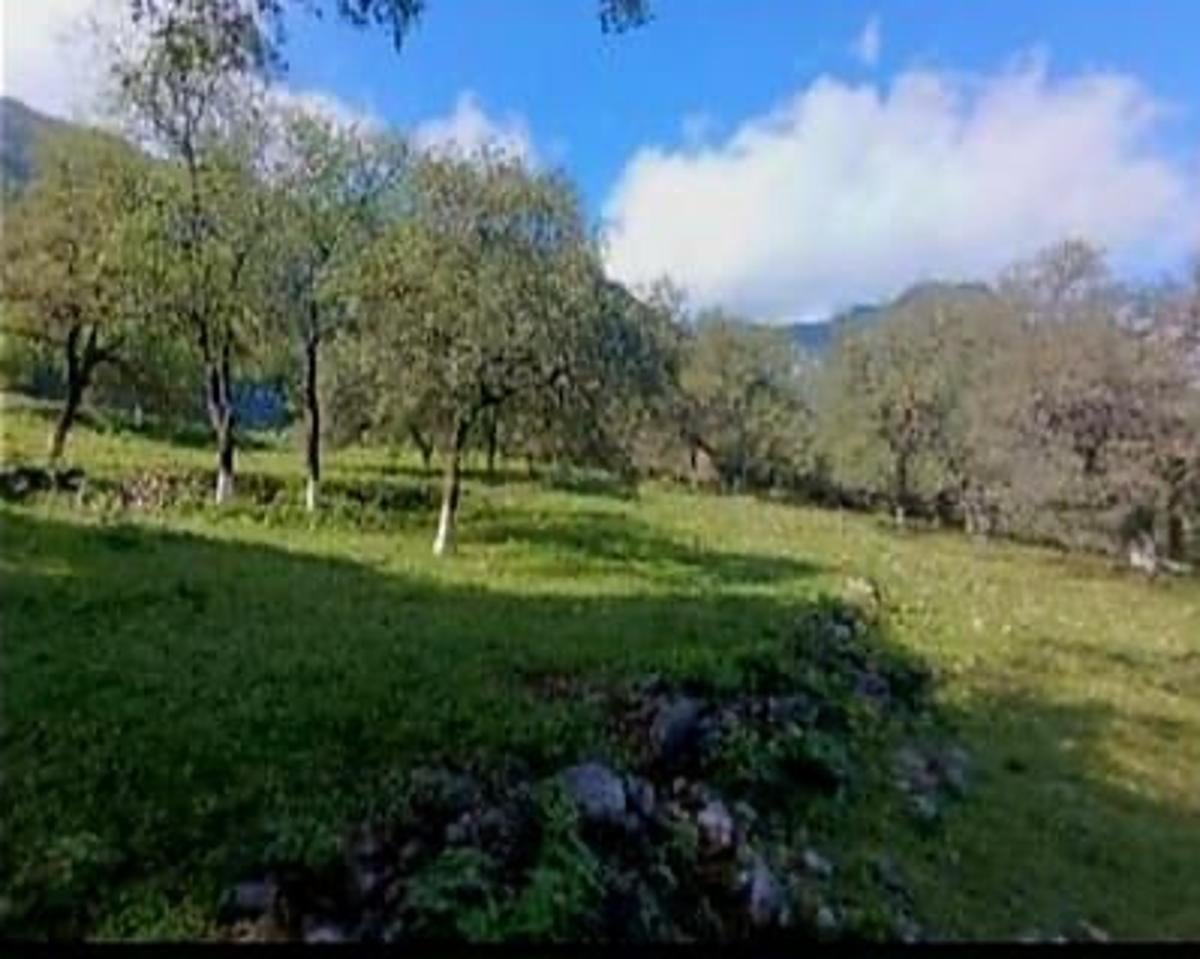 Terreno Campestre/residencial Premium en Venta en Santiago