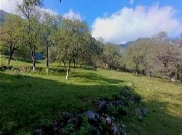 1 · Terreno Campestre/residencial Premium en Venta en Santiago