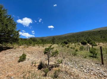 1 · Terrenos en Venta en Arteaga Centro