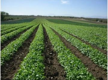 1 · Ranchos en Venta en San Miguelito
