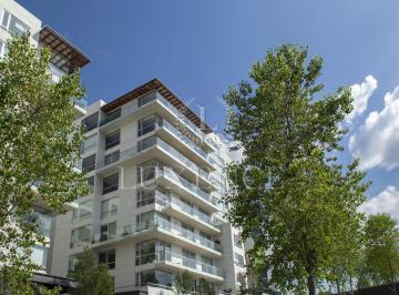 Departamento · 146m² · 2 Recámaras · 2 Estacionamientos · Departamento en Lomas del Pedregal Framboyanes en Venta