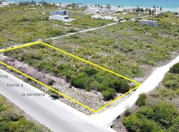 50677b8960da4644c454e31b6535ee24381db2639141c7b04e8e11f3042041e9 · Venta Terreno en San Benito a 180 m del Mar Sobre Carretera