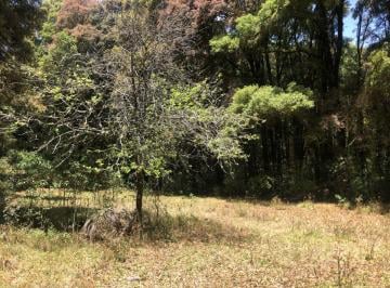 Terreno / Lote , Omitlán de Juárez · Terreno de 1727 m² en Venta, Omitlán de Juárez