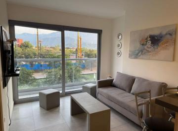 Departamento Renta de 1 habitación · Departamento en Renta Torre Luzia Zona Centro