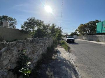 Terreno / Lote , Mérida · Venta de Terreno Plano en Colonia San Pedro Uxmal en Mérida Yucatán