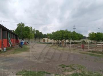 1 · Ranchos en Renta en Marín