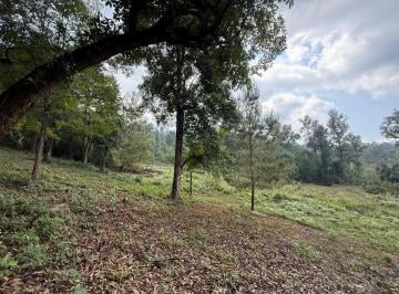 Terreno / Lote · 5000m² · Terreno en Cuadrilla de Dolores Propiedad Privada