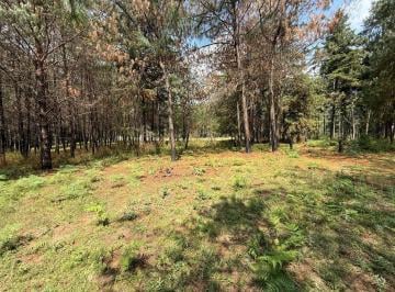 Terreno / Lote · 1350m² · Terreno en San Bartolo Amanalco