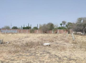 Terreno / Lote · 400m² · Venta de Terreno de 400 m en Cuautla Ejidal