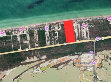 Terreno / Lote , Telchac Puerto · Terreno Frente Al Mar en Telchac en Venta
