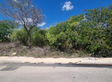 Terreno / Lote , Mérida · Terreno en Venta en Real Montejo, Mérida – 455.15 m²