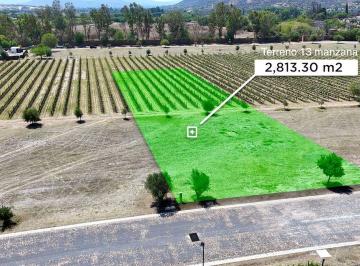 d5db5eb25f58d1b69a729ca1a91f6e8e3ec338e4b2f8bfde65ed85669a20795f · Terreno en Los Remedios Vineyard Community, San Miguel de Allende en Venta