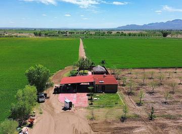 Rancho · 260000ha · 2 Recámaras · Venta de Rancho Agrícola por Cd. de Meoqui, Artbol
