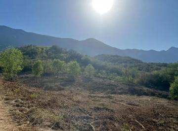 1 · Terreno en Venta, 14ha, La Colmena de Arriba, Allende Nuevo León