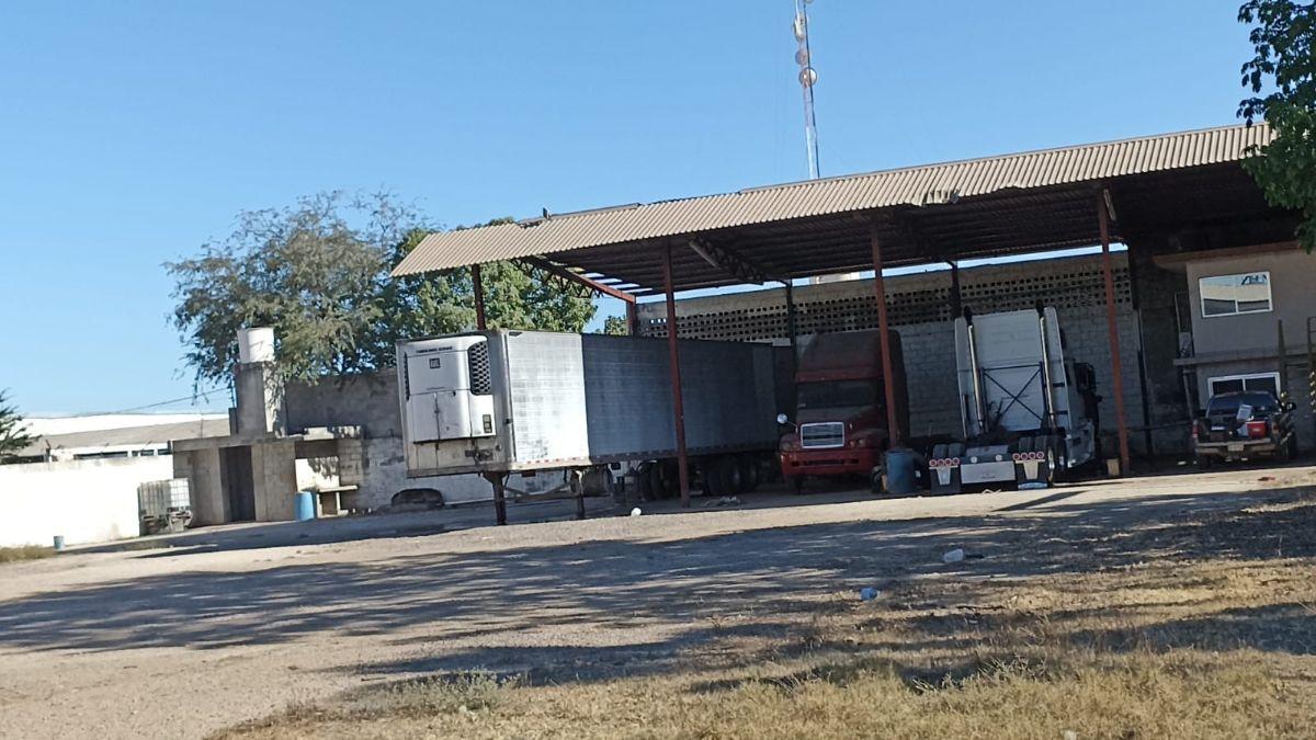 Yard for Rent in El Diez, Culiacán, Sinaloa
