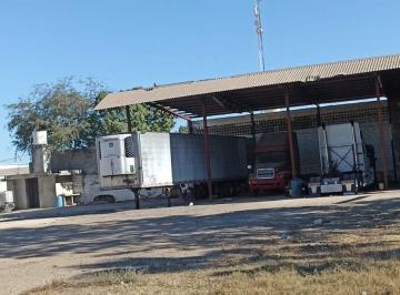 Bodega comercial de 5 habitaciones, Culiacán · Yarda en Renta en El Diez Culiacan Sinaloa