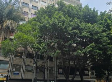 Departamento de 3 habitaciones, Cuauhtémoc · Departamento de 145 m² con 3 Recámaras en Renta en Cuauhtémoc